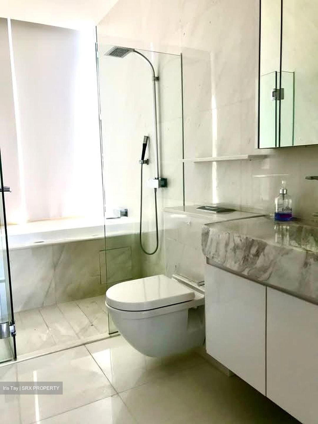 Cairnhill Residences (D9), Apartment #531480021